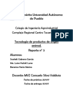 Reporte de Elaboración de Carne Al Pastor