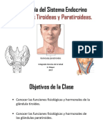 Sistema Endocrino II Tiroides y Paratiroides