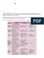 Mastitis Patología