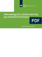 Methodology CO2-Tool Electricity Gas and Heat From Biomass - Version 1