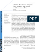 Ameliorative Effect of Statin Therapy On Oxidative Damage in Heart Tissue of Hypercholesterolemic Rabbits