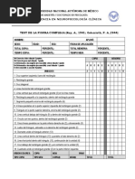 Calificación Figura de Rey