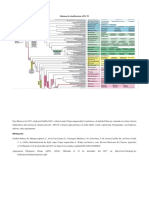 Sistema de Clasificacion APG IV