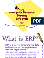 Enterprise Resource Planning Life Cycle