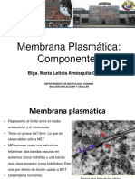 Membrana Plasmatica 