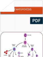 Clase 1 Hematopoyesis 2016
