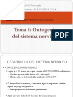 Tema 1. Ontogenia Del Sistema Nervioso.