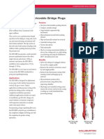 HE3 and HX4 Retrievable Bridge Plugs: Features