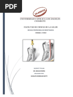 Técnicas para La Preparación Biomecánica de Los Conductos Radiculares