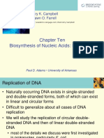 Chapter Ten Biosynthesis of Nucleic Acids: Replication: Mary K. Campbell Shawn O. Farrell