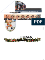 Unidad Didactica 8 5to Diciembre 2017 Imprimir