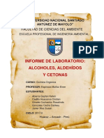 Informe de Lab de Quimica N 05 Alcoholes Terminado