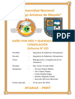 Informe #02 de Refri