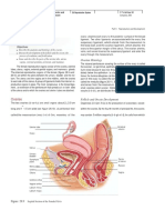 Seeley 6e 2004 CH 28 Reproductive System