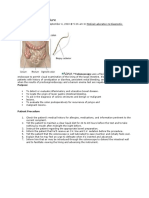 Colonoscopy Procedure