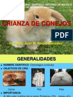 Cria de Conejos