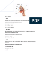 Phonology