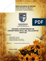 Lepidopteras PDF