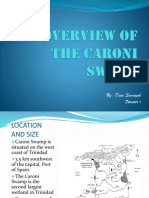 An Overview of The Caroni Swamp