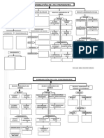 Esquema de Formacion de Los Continentes