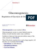 Gluconeogenesis Metabolic Pathway