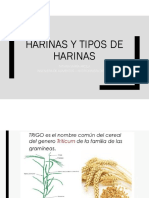 Harinas y Tipos de Harinas-1