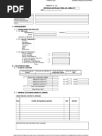 Formatos Ejecucion Fe 02 Al 12 y 14