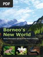 Borneo's New World: Newly Discovered Species in The Heart of Borneo