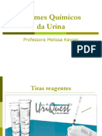 Exames Químicos Da Urina