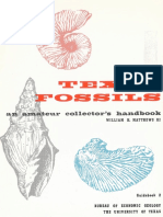 Texas Fossils - An Amateur Collector's Handbook