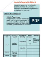 Clasificación de La Vegetación