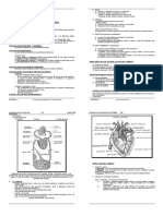 Sistema Circulatorio Teoria