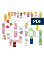 Tissue Concept Map