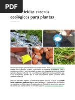 18 Pesticidas Caseros Ecológicos para Plantas