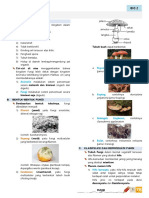 Fungi Bio2 5