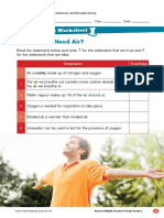 Why Do We Need Air?: Consolidation Worksheet