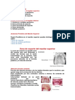 Zonas Protesicas de La Protesis Removible