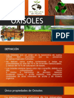 Exposición Oxisoles