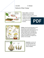 'Methods of Plant Cloning": Lourinne Marie S. Lolong 8 - Eagle