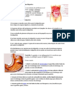 5 Enfermedades Del Sistema Digestivo