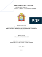 Biorremediación y Contaminación Del Petroleo 29.12.17