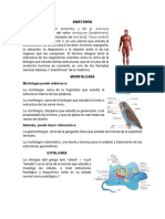 Anatomia, Morfologia, Citologia, Histologia, Embriologia, Ecologia, Apicultura, Pisicultura