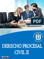 Derecho Procesal Civil II