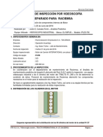 Ivr-12-16 - Inspección Por Videoscopía A Motor - Tracto International R-290 - Raciemsa