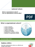 Topic 11 Organisational Culture