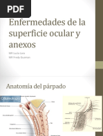 Enfermedades de La Superficie Ocular y Anexos