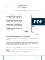 F11-AL 1.1 - Queda Livre