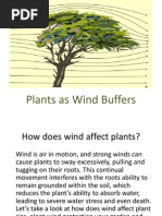 Plants As Wind Buffers