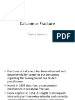 Calcaneus Fracture: Randy Susanto