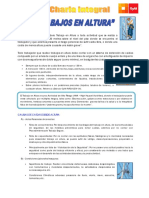 06 SBC Trabajos en Altura PDF